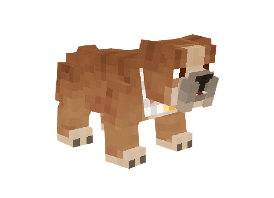 Pet Bulldog