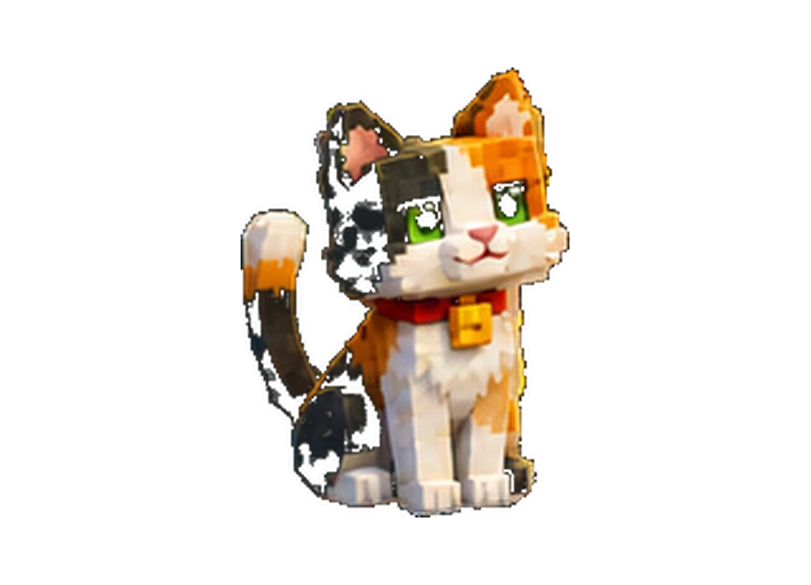Pet Gato