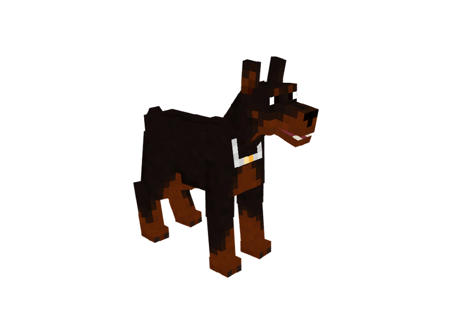 Pet Dobermann