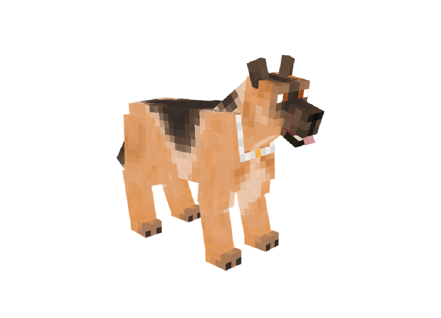 Pet Pastor Alemão