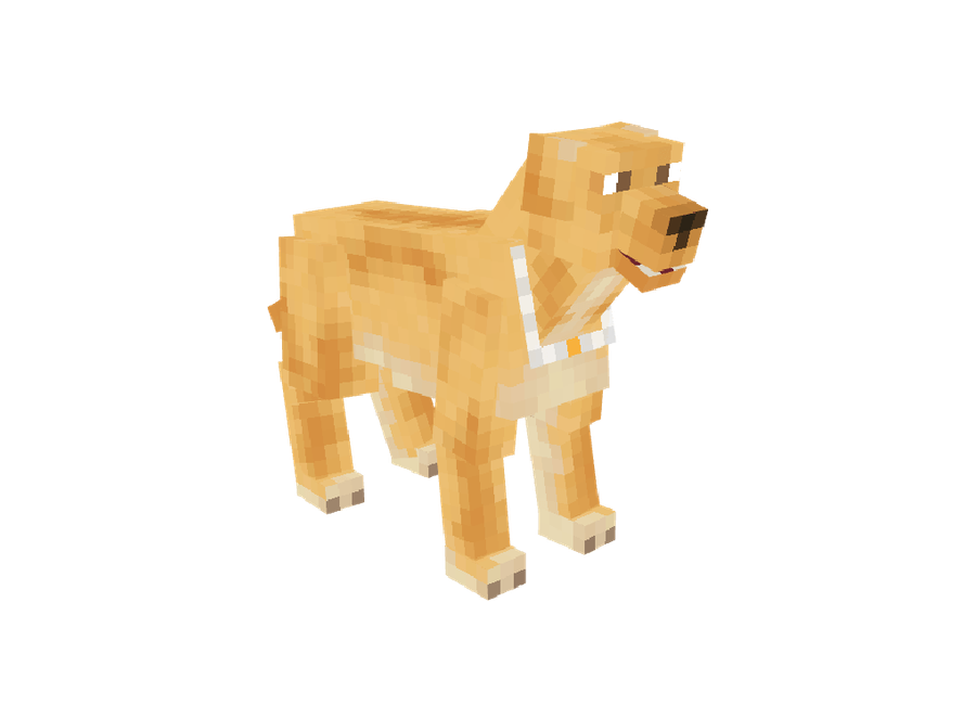 Pet Labrador