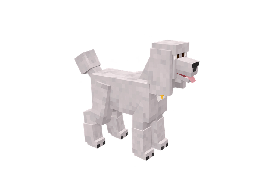 Pet Poodle