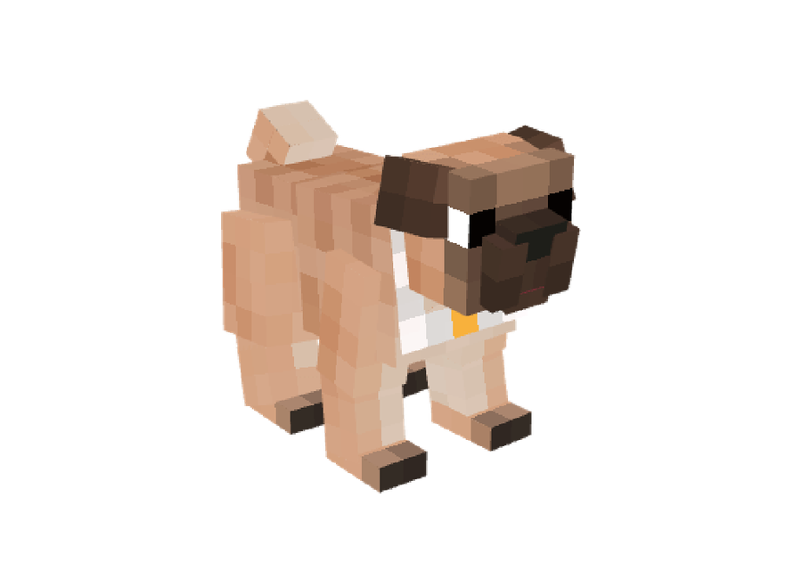 Pet Pug