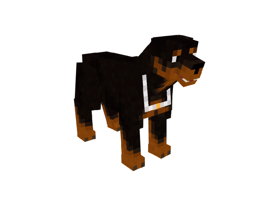 Pet Rottweiler