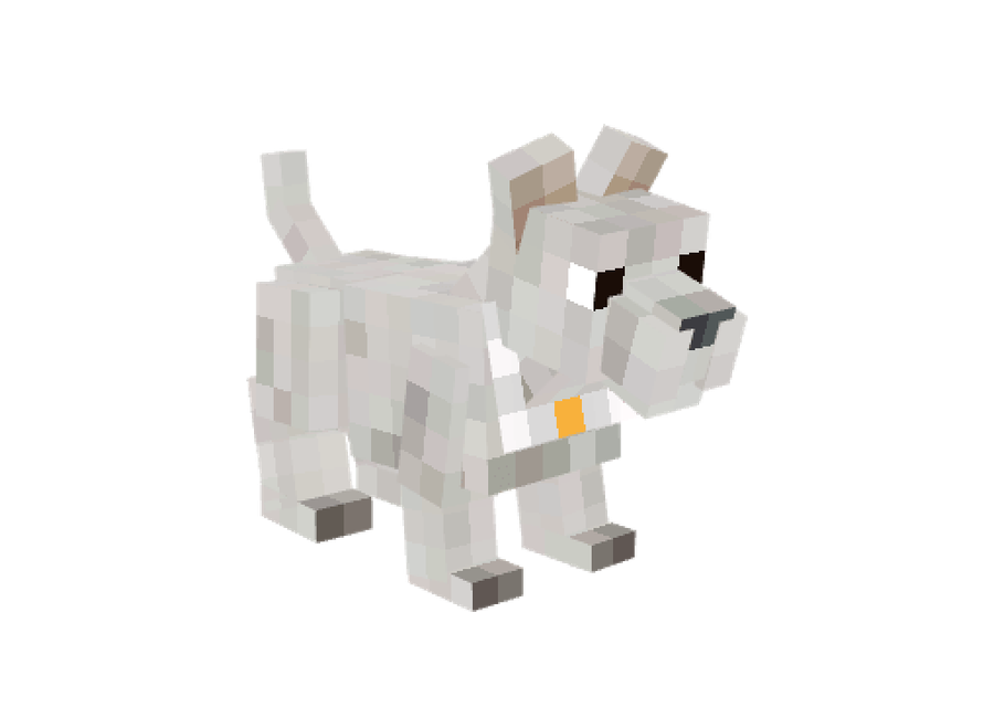 Pet Westie